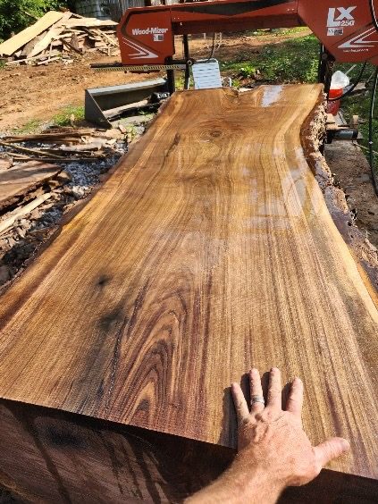 A large smooth walnut slab with a hand laid on it to show the scale, the mill behind it.